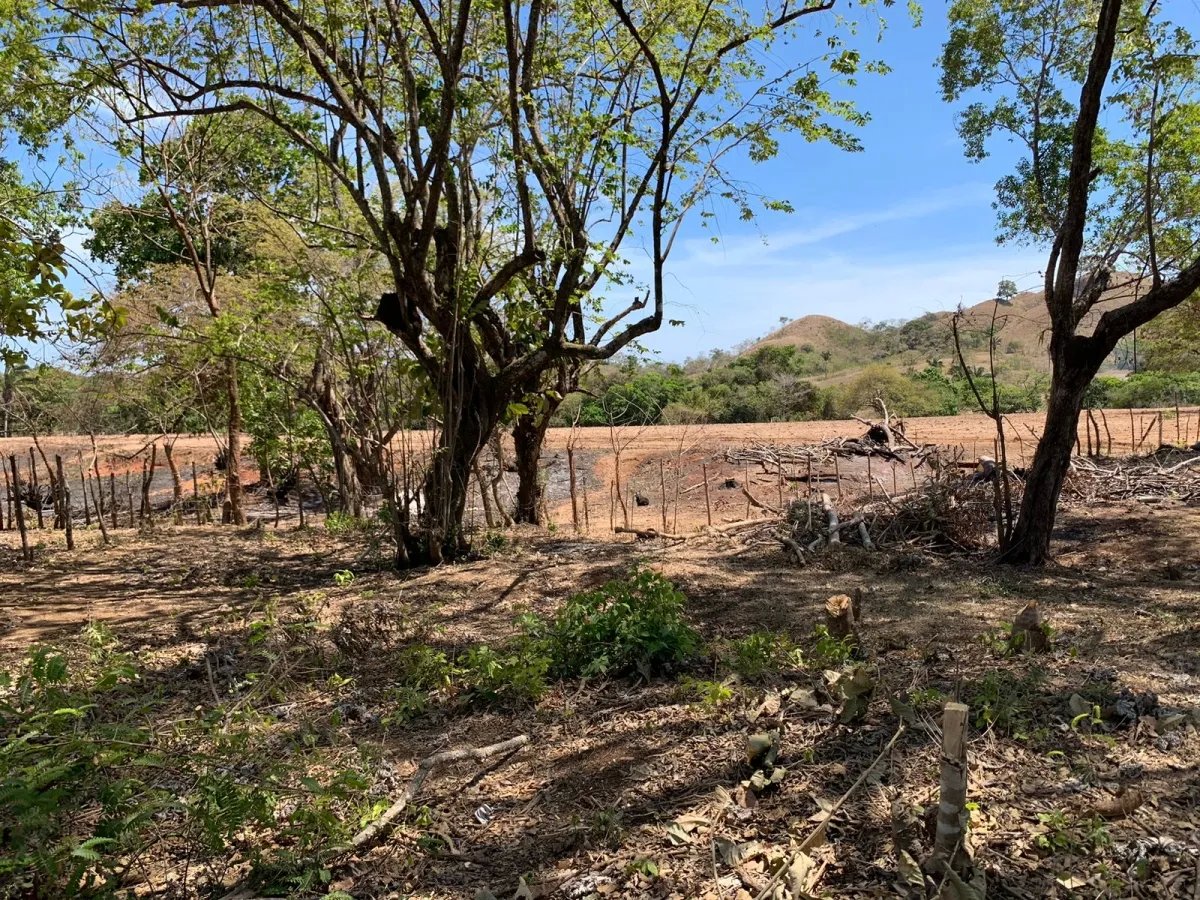 PROPERTY FOR SALE IN FRONT OF THE MAIN ROAD BETWEEN LAGARTERO AND HICACO, VERAGUAS.