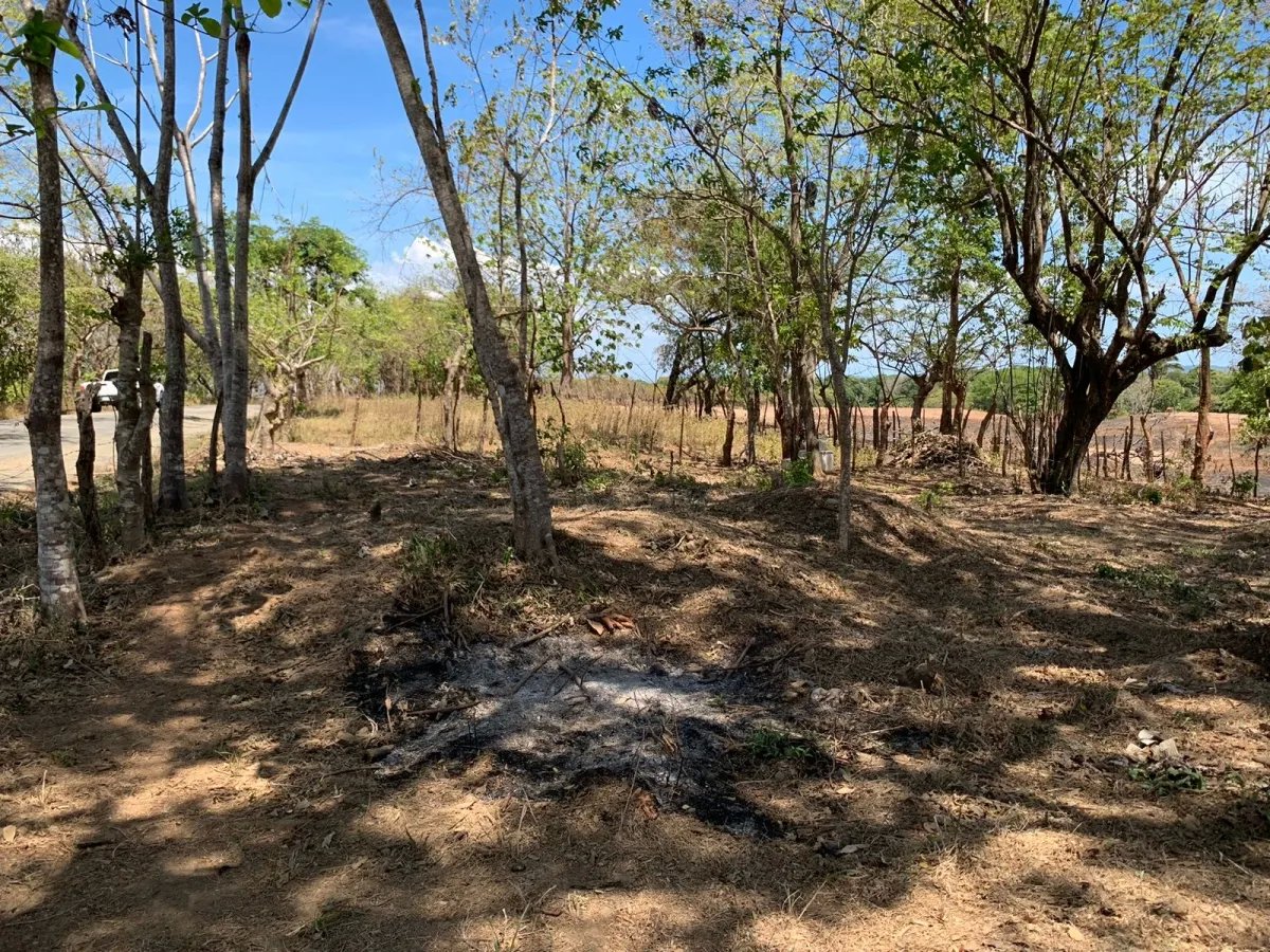 PROPERTY FOR SALE IN FRONT OF THE MAIN ROAD BETWEEN LAGARTERO AND HICACO, VERAGUAS.