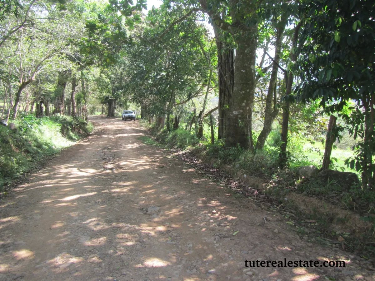 Perfect little farm with views and good access