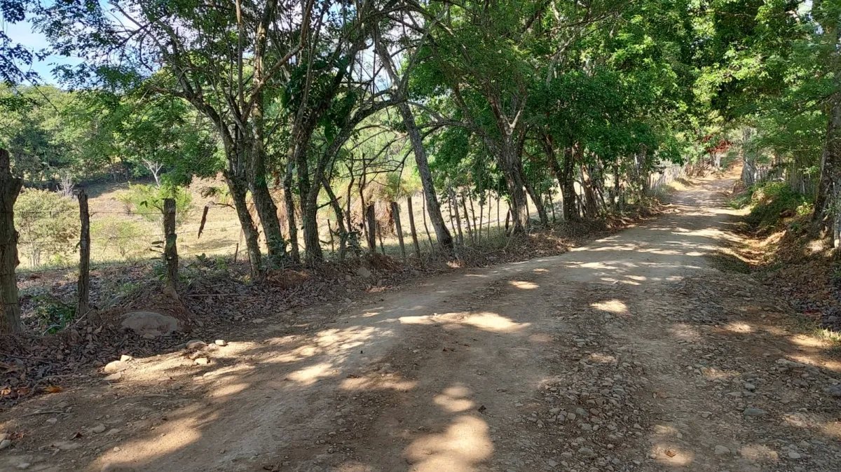 Perfect little farm with views and good access