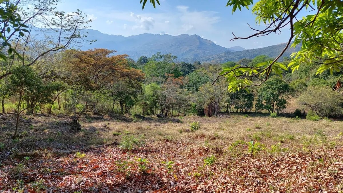 Perfect little farm with views and good access