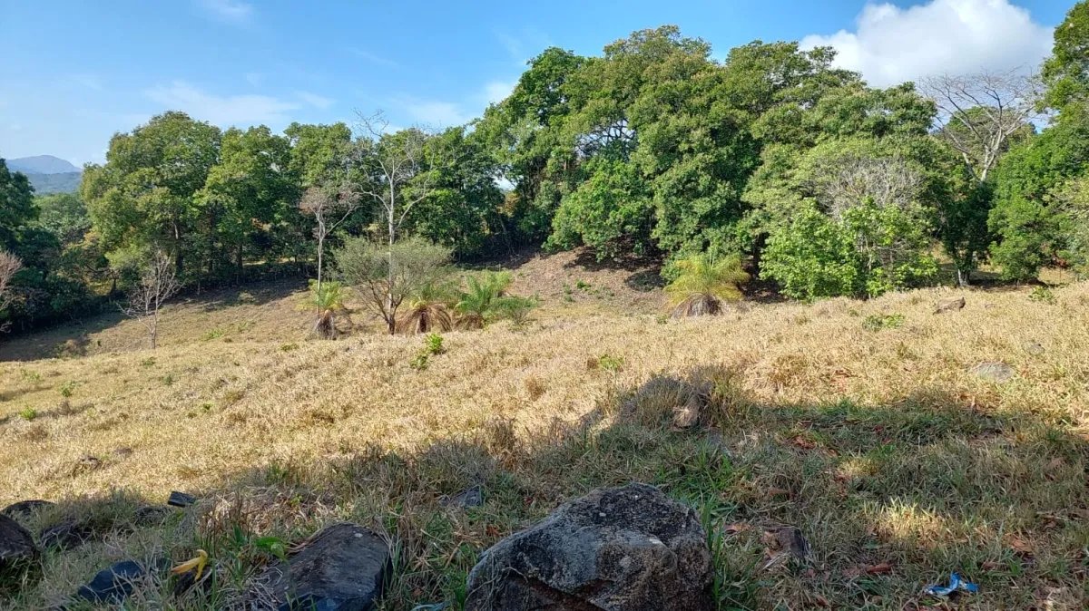 Perfect little farm with views and good access
