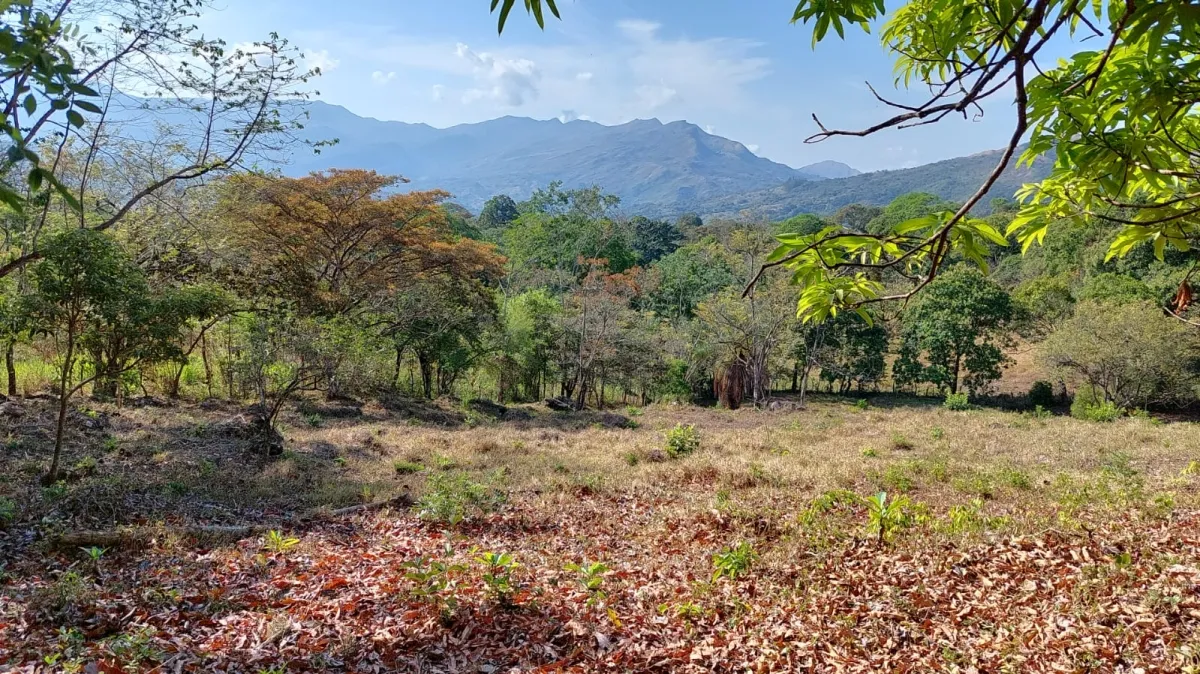 Terreno/Granja en Venta en Santa Fe
