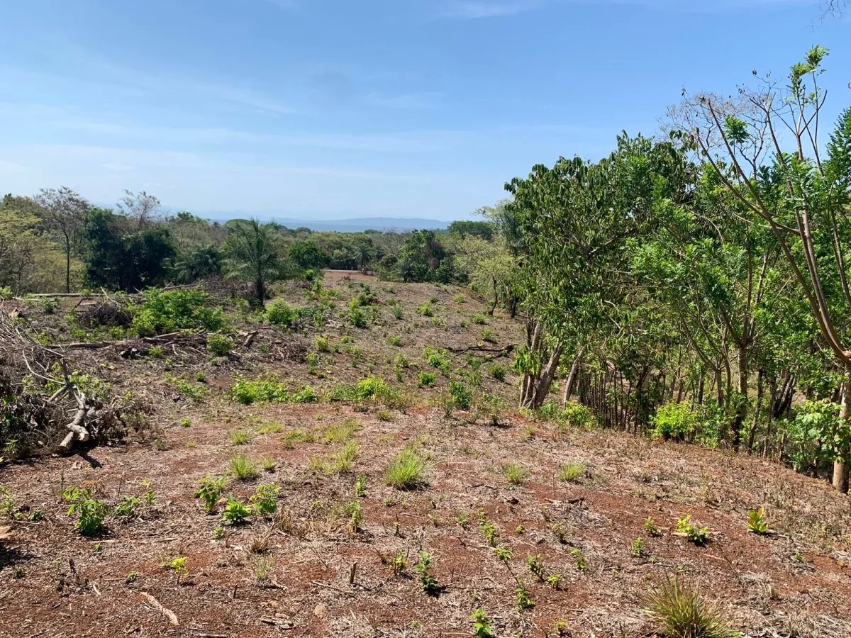 OCEAN VIEW PROPERTY IN SANTA CATALINA (LAGARTERO AREA), OF 1.2 HECTARES (2.9 ACRES) - BARGAIN PRICE