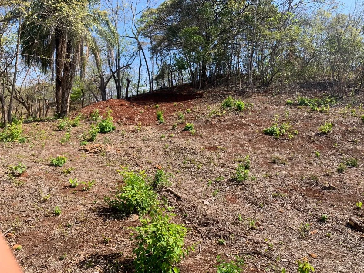 OCEAN VIEW PROPERTY IN SANTA CATALINA (LAGARTERO AREA), OF 1.2 HECTARES (2.9 ACRES) - BARGAIN PRICE