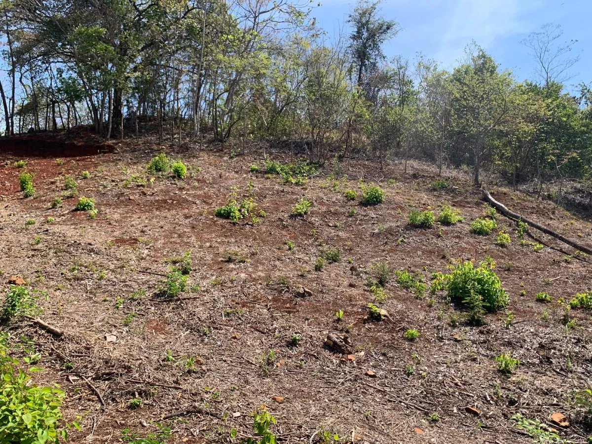 OCEAN VIEW PROPERTY IN SANTA CATALINA (LAGARTERO AREA), OF 1.2 HECTARES (2.9 ACRES) - BARGAIN PRICE