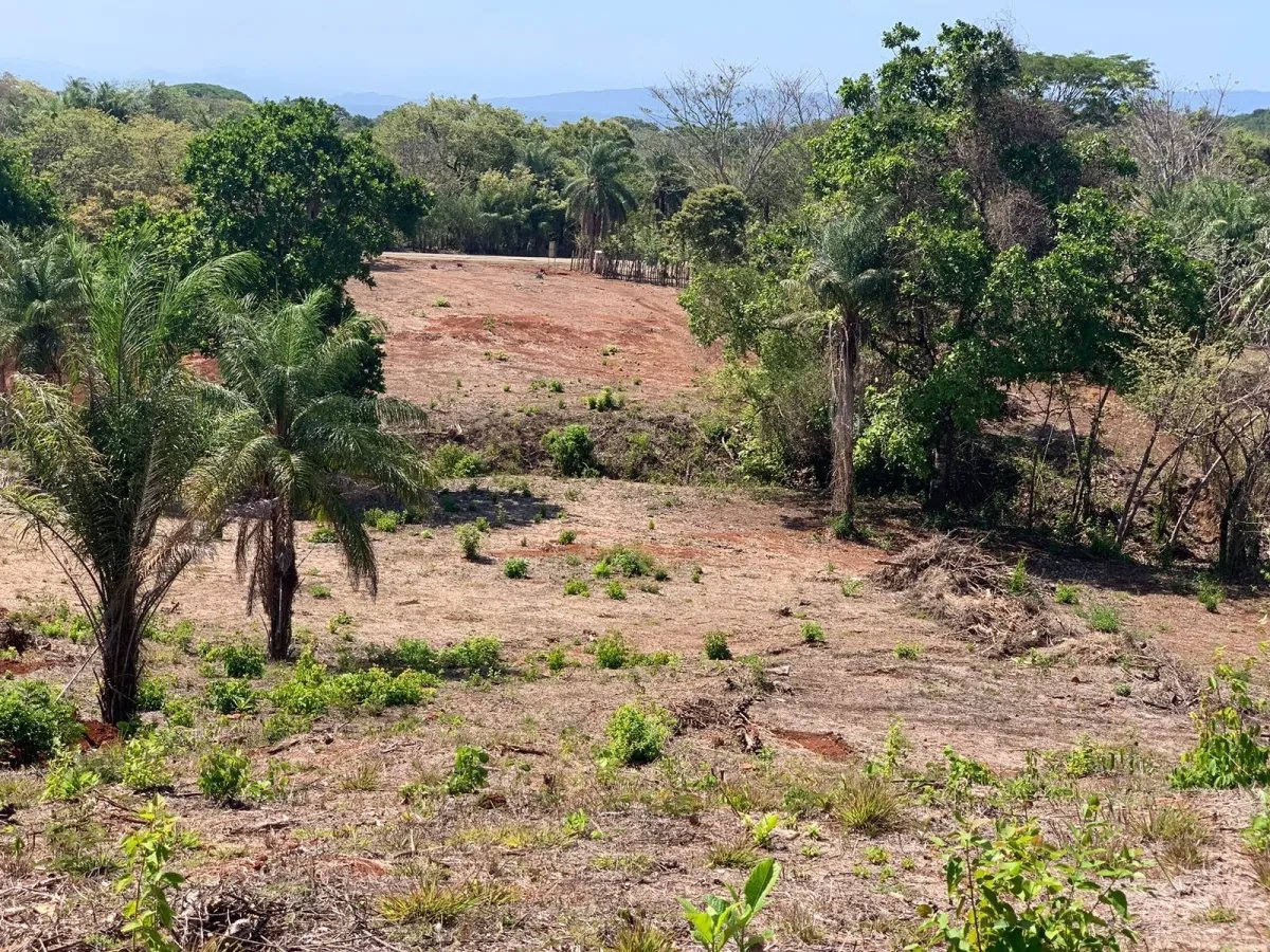 OCEAN VIEW PROPERTY IN SANTA CATALINA (LAGARTERO AREA), OF 1.2 HECTARES (2.9 ACRES) - BARGAIN PRICE