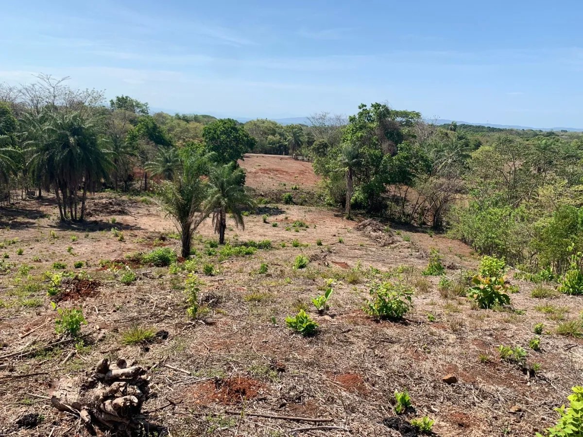 OCEAN VIEW PROPERTY IN SANTA CATALINA (LAGARTERO AREA), OF 1.2 HECTARES (2.9 ACRES) - BARGAIN PRICE