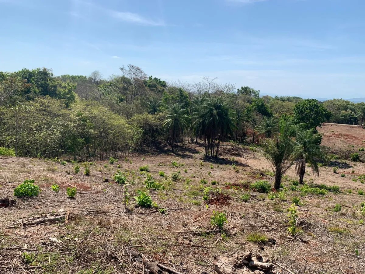 OCEAN VIEW PROPERTY IN SANTA CATALINA (LAGARTERO AREA), OF 1.2 HECTARES (2.9 ACRES) - BARGAIN PRICE