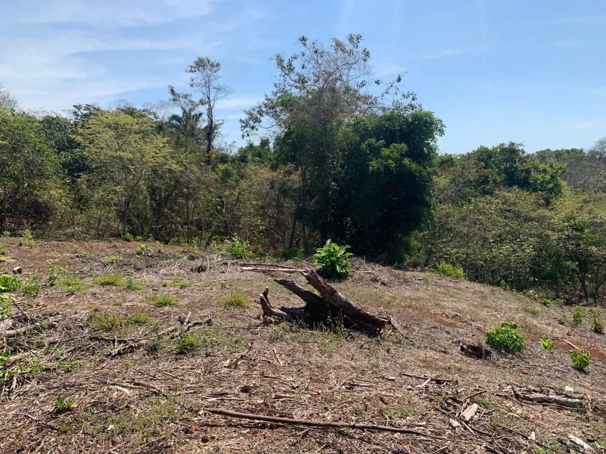 OCEAN VIEW PROPERTY IN SANTA CATALINA (LAGARTERO AREA), OF 1.2 HECTARES (2.9 ACRES) - BARGAIN PRICE