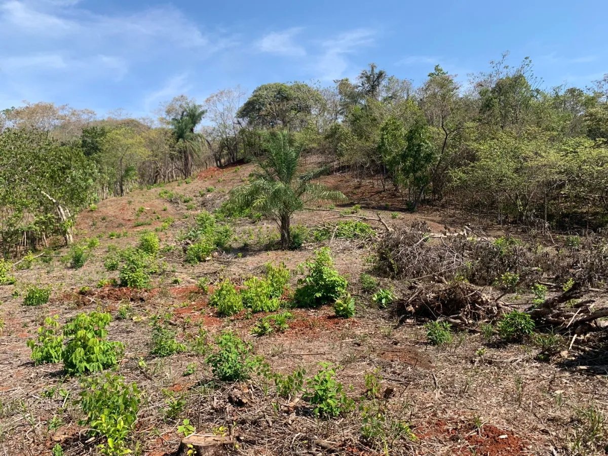 OCEAN VIEW PROPERTY IN SANTA CATALINA (LAGARTERO AREA), OF 1.2 HECTARES (2.9 ACRES) - BARGAIN PRICE