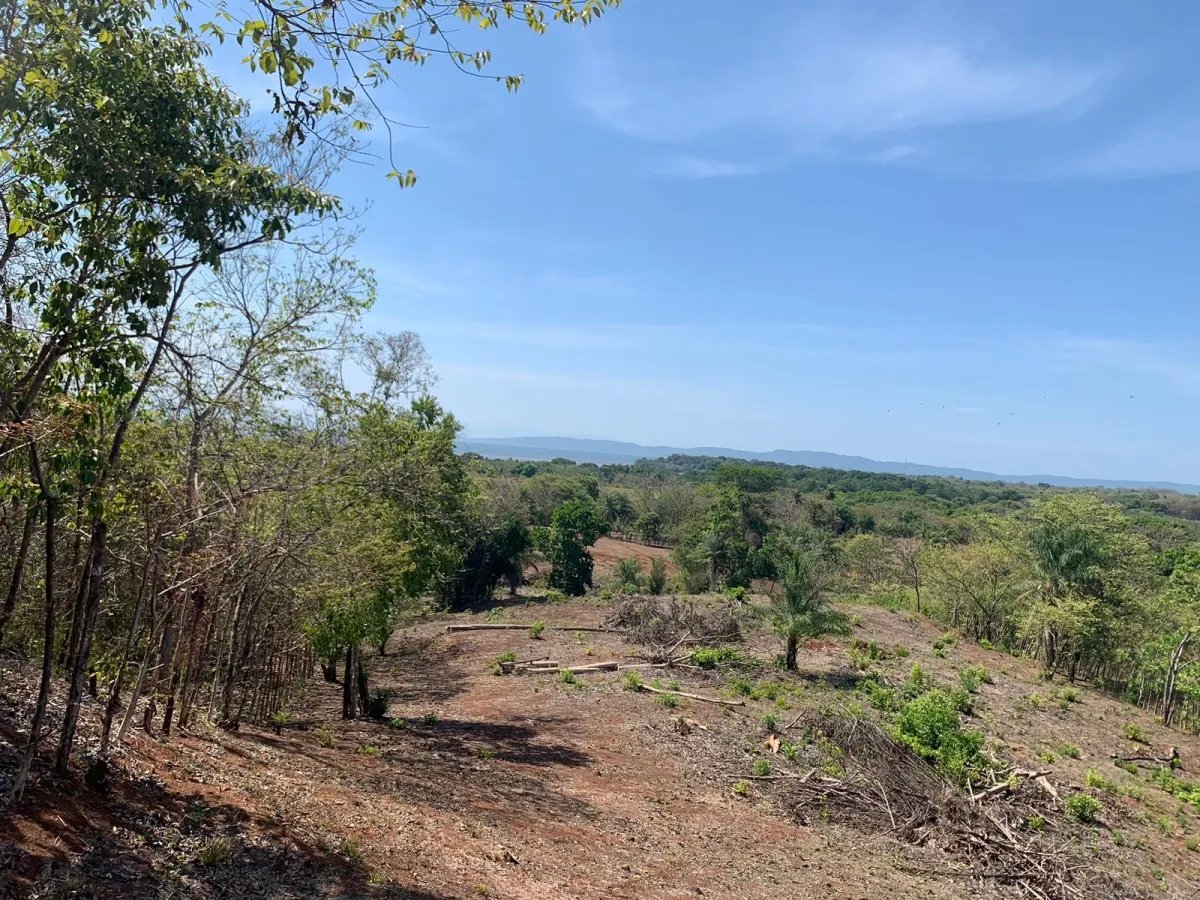 OCEAN VIEW PROPERTY IN SANTA CATALINA (LAGARTERO AREA), OF 1.2 HECTARES (2.9 ACRES) - BARGAIN PRICE
