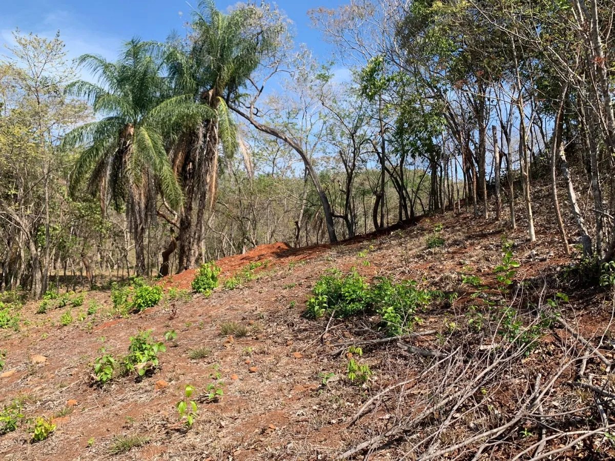 OCEAN VIEW PROPERTY IN SANTA CATALINA (LAGARTERO AREA), OF 1.2 HECTARES (2.9 ACRES) - BARGAIN PRICE