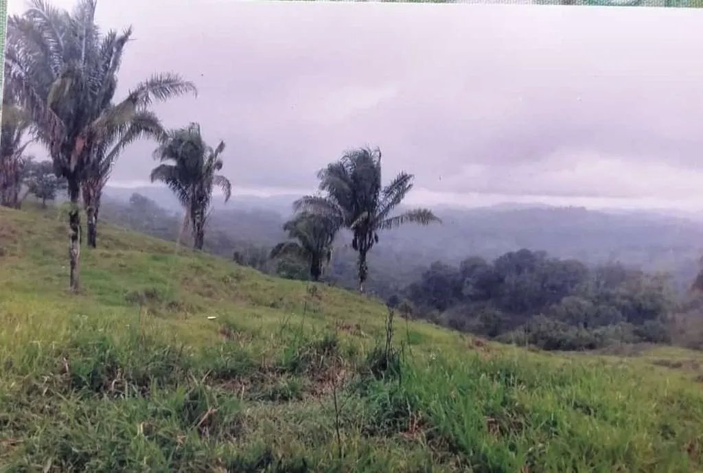 FOR SALE EXTENSIVE PROPERTY OF 412 HECTARES (1,018 ACRES) CATIVE, SONÁ...