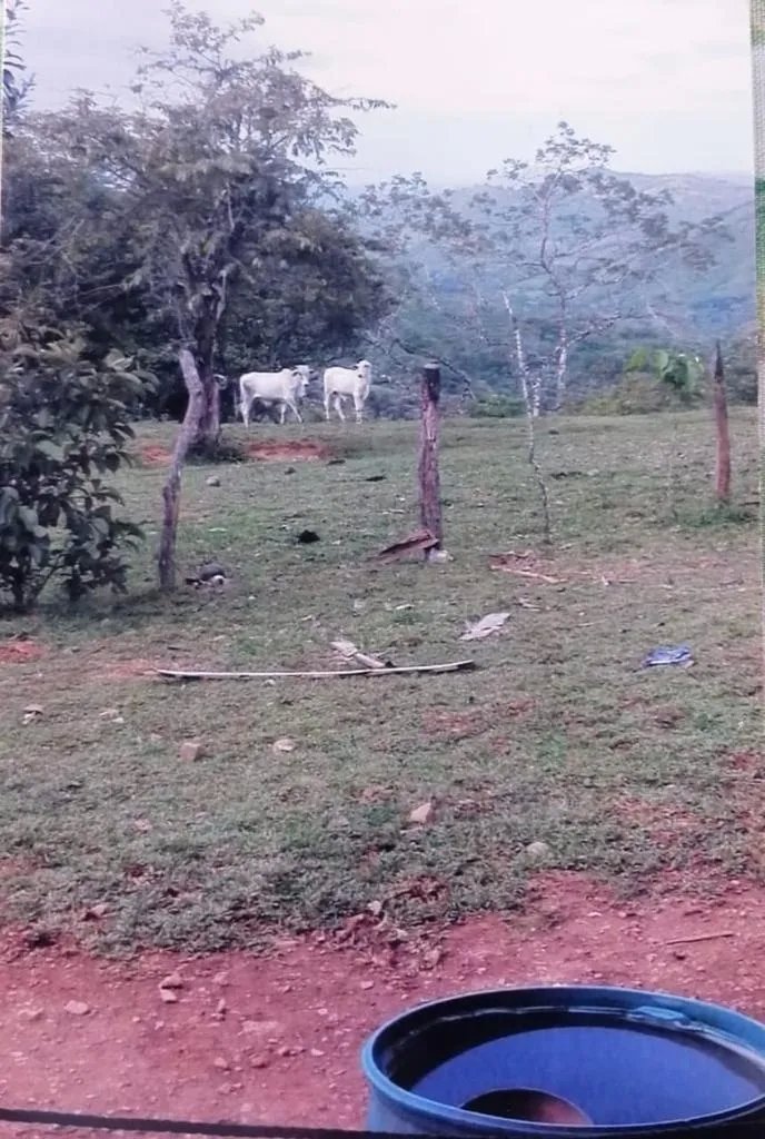 FOR SALE EXTENSIVE PROPERTY OF 412 HECTARES (1,018 ACRES) CATIVE, SONÁ...