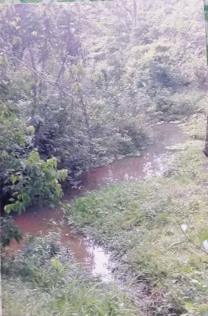 FOR SALE EXTENSIVE PROPERTY OF 412 HECTARES (1,018 ACRES) CATIVE, SONÁ...