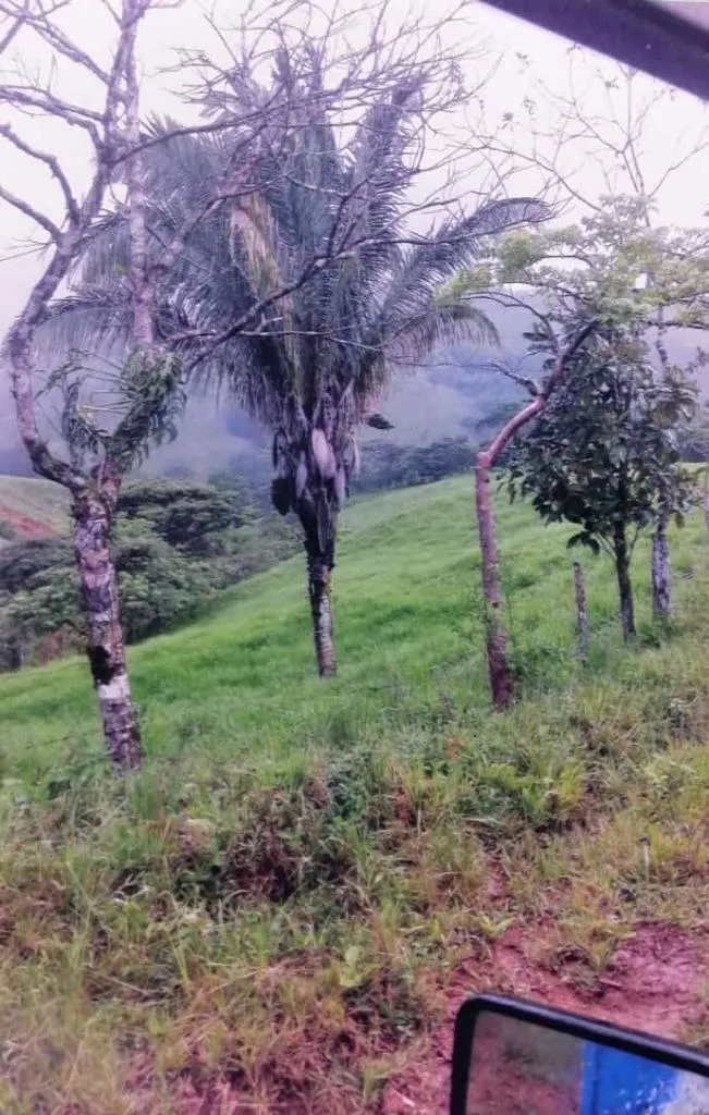 SE VENDE EXTENSA PROPIEDAD DE 412 HECTÁREAS (1,018 ACRES) CATIVE, SONÁ...