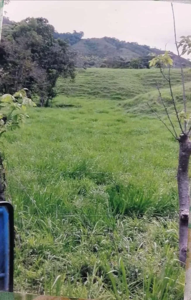 SE VENDE EXTENSA PROPIEDAD DE 412 HECTÁREAS (1,018 ACRES) CATIVE, SONÁ, VERAGUAS.