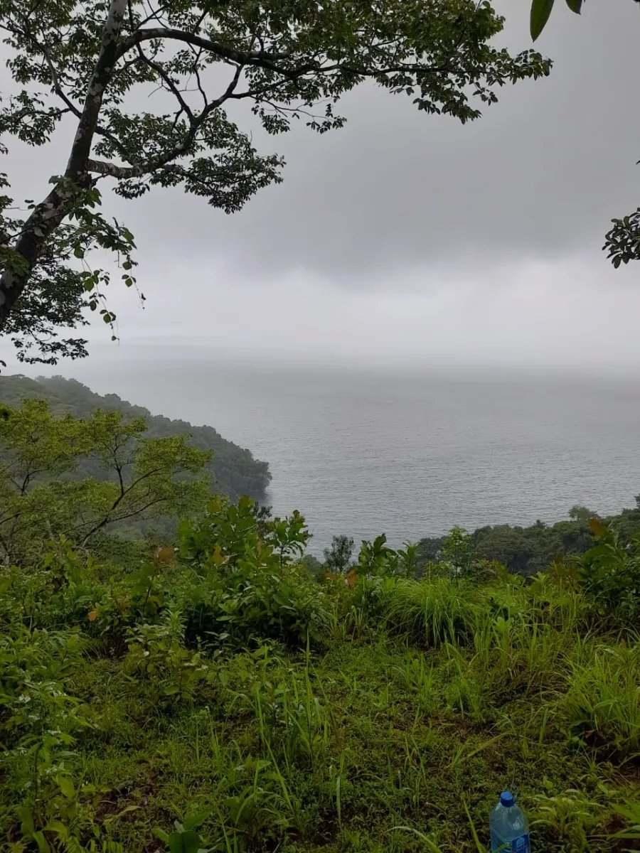 HERMOSA PROPIEDAD DE AGUAS CRISTALINAS DEL OCEANO PACIFICO, PIXVAE, VERAGUAS. 3.8 HECTÁREAS (9.39 ACRES)