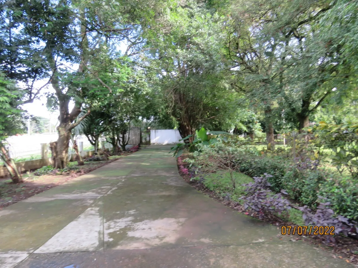 Lote comercial en la carretera Interamericana en David