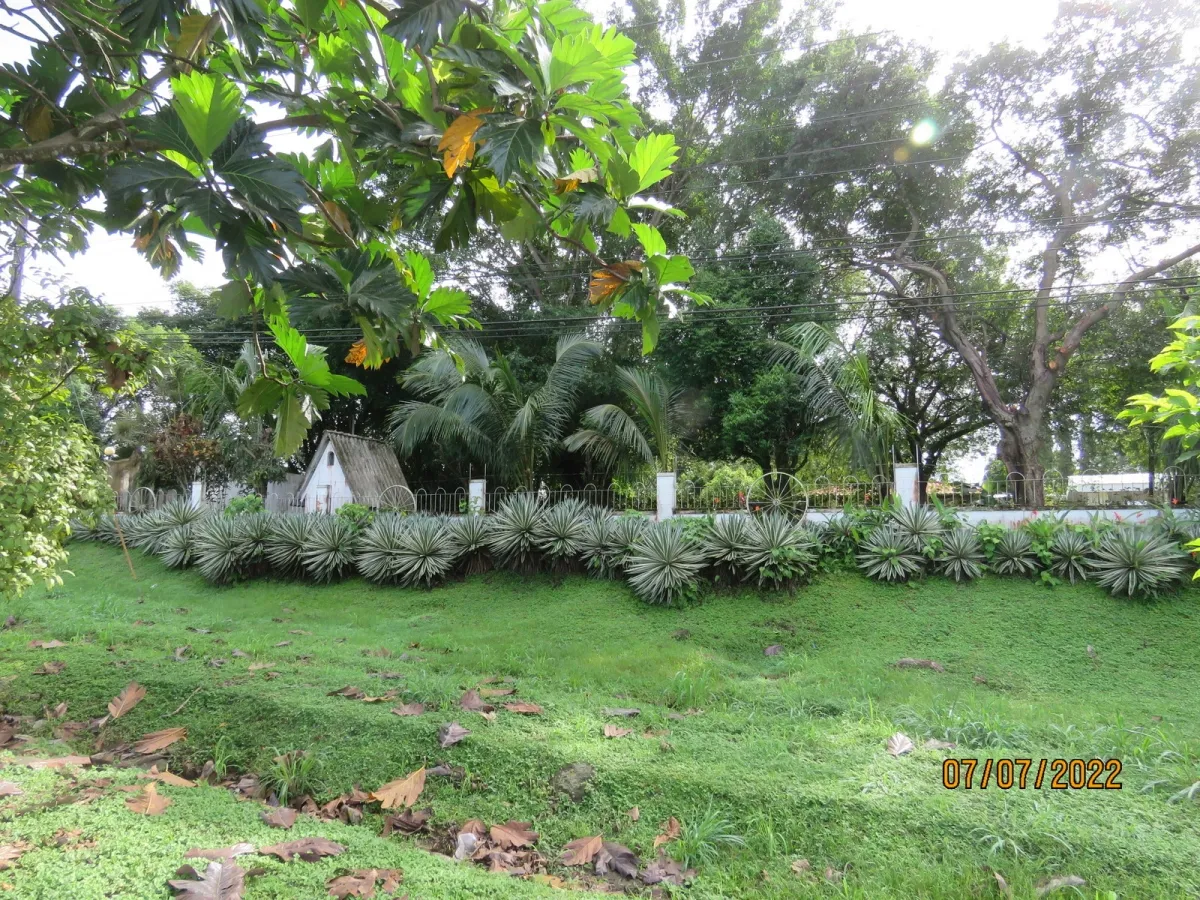Lote comercial en la carretera Interamericana en David