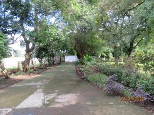 Lote comercial en la carretera Interamericana en David