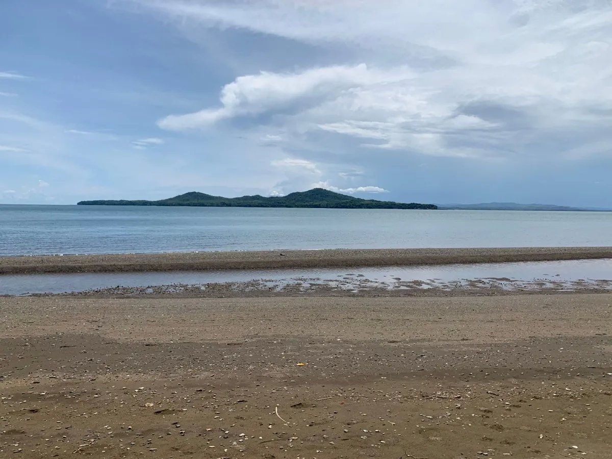 ONE HECTARE OF PROPERTY FOR SALE, ON THE ISLAND OF CEBACO, IN FRONT OF...