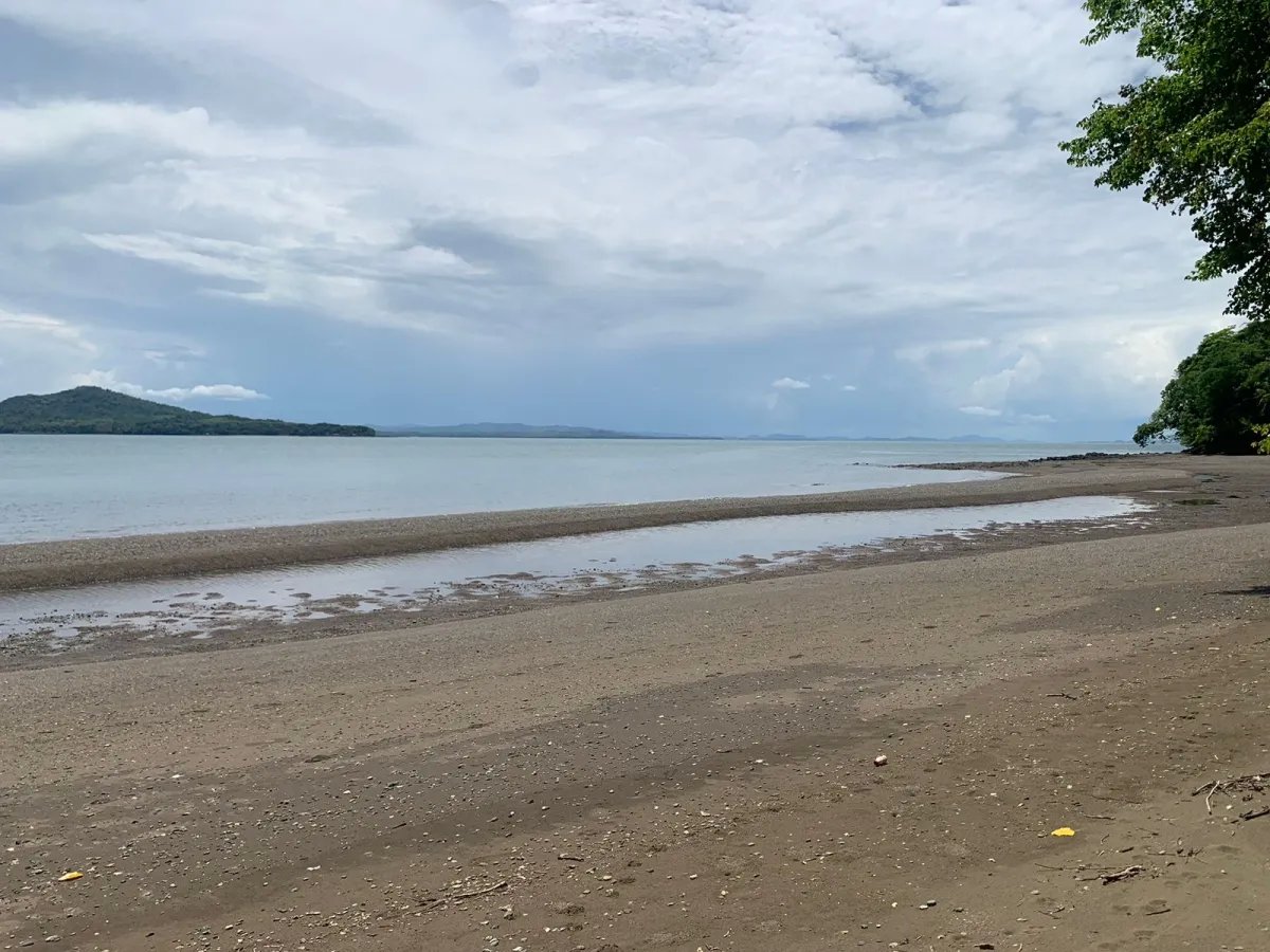 ONE HECTARE OF PROPERTY FOR SALE, ON THE ISLAND OF CEBACO, IN FRONT OF...