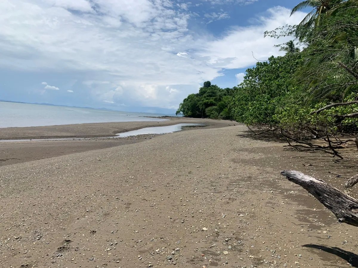 ONE HECTARE OF PROPERTY FOR SALE, ON THE ISLAND OF CEBACO, IN FRONT OF THE SEA.