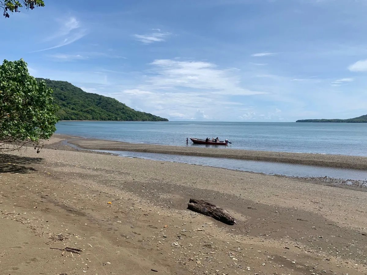 ONE HECTARE OF PROPERTY FOR SALE, ON THE ISLAND OF CEBACO, IN FRONT OF THE SEA.