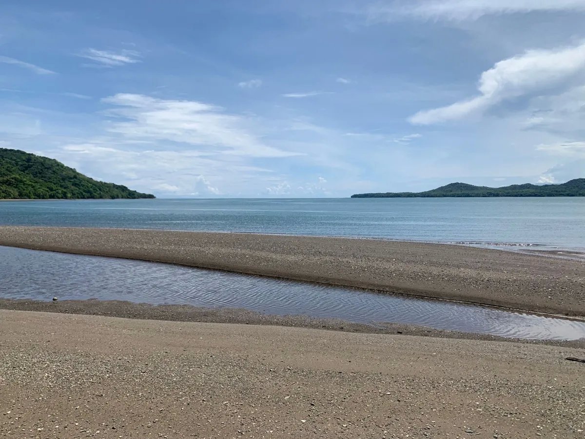 ONE HECTARE OF PROPERTY FOR SALE, ON THE ISLAND OF CEBACO, IN FRONT OF THE SEA.