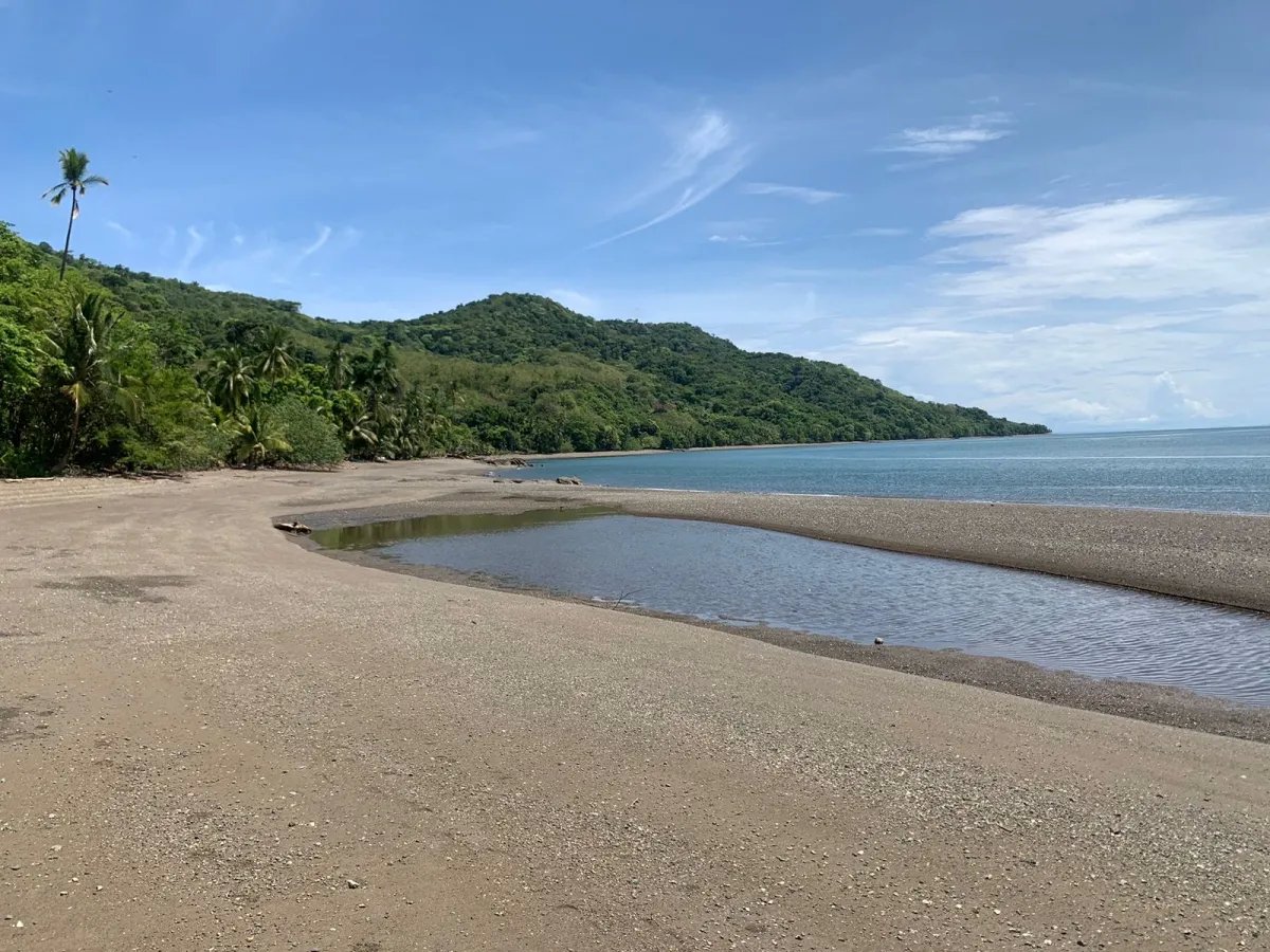 ONE HECTARE OF PROPERTY FOR SALE, ON THE ISLAND OF CEBACO, IN FRONT OF THE SEA.