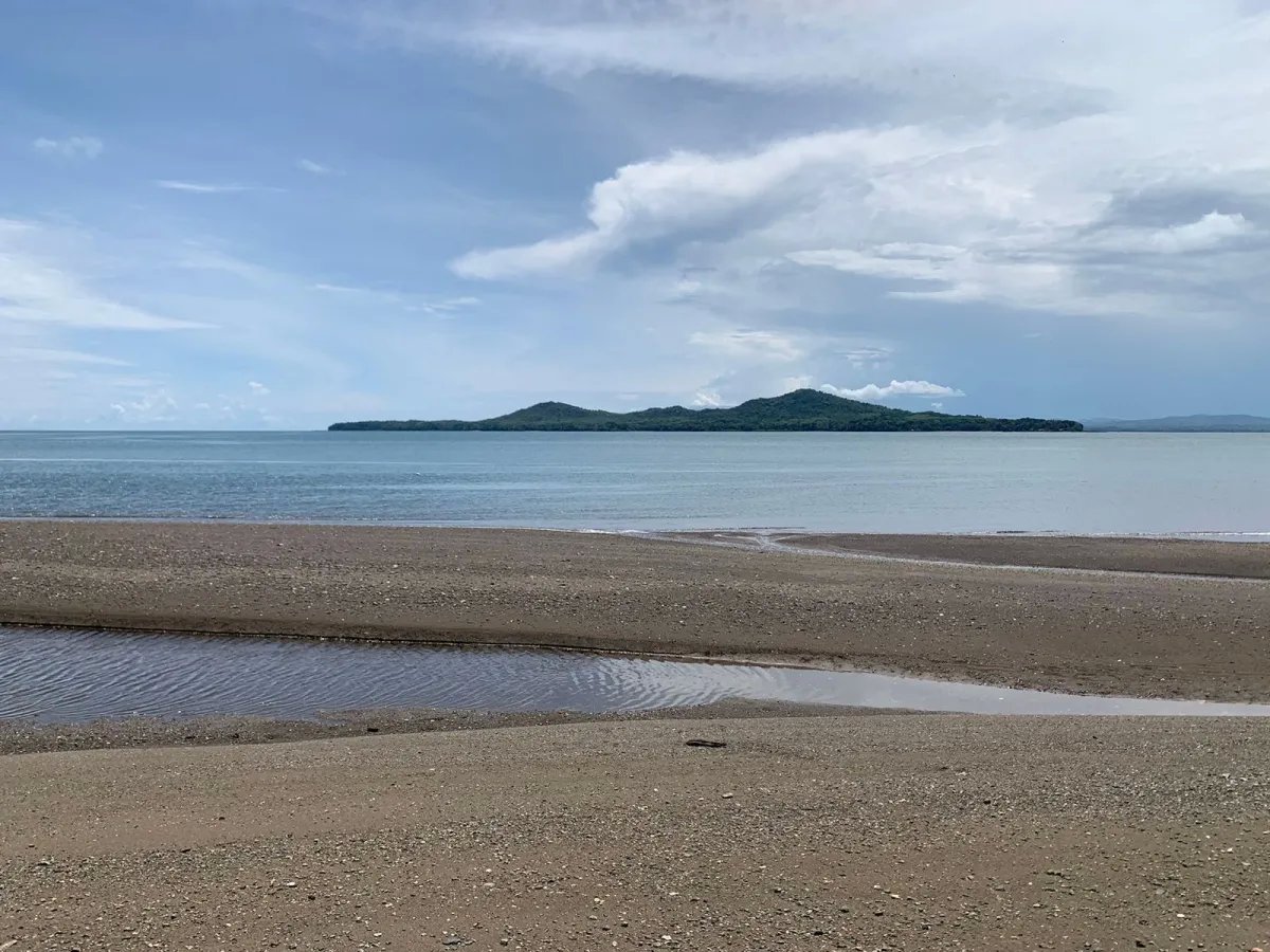 ONE HECTARE OF PROPERTY FOR SALE, ON THE ISLAND OF CEBACO, IN FRONT OF THE SEA.