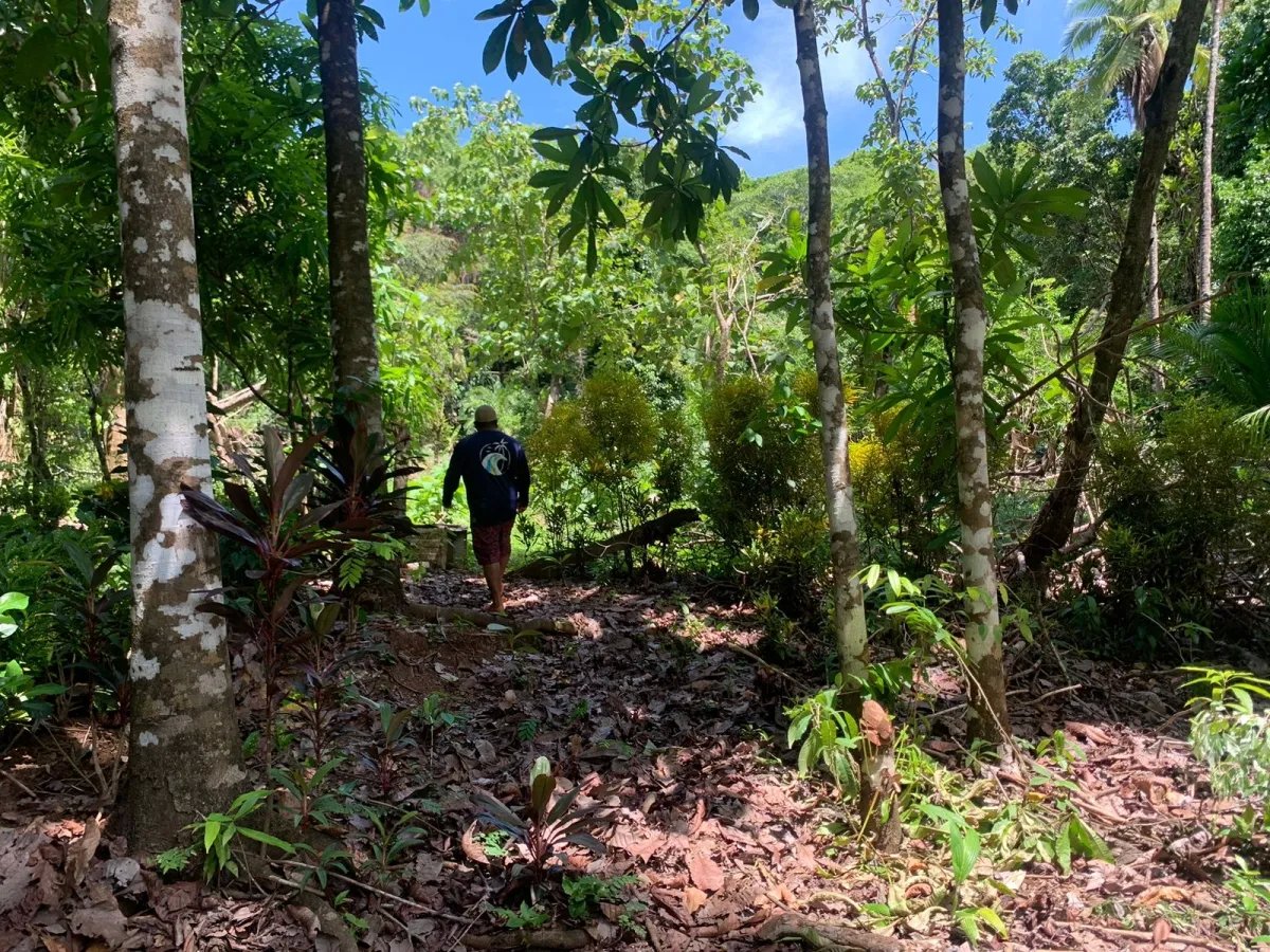 ONE HECTARE OF PROPERTY FOR SALE, ON THE ISLAND OF CEBACO, IN FRONT OF THE SEA.