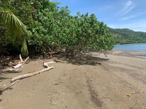 ONE HECTARE OF PROPERTY FOR SALE, ON THE...
