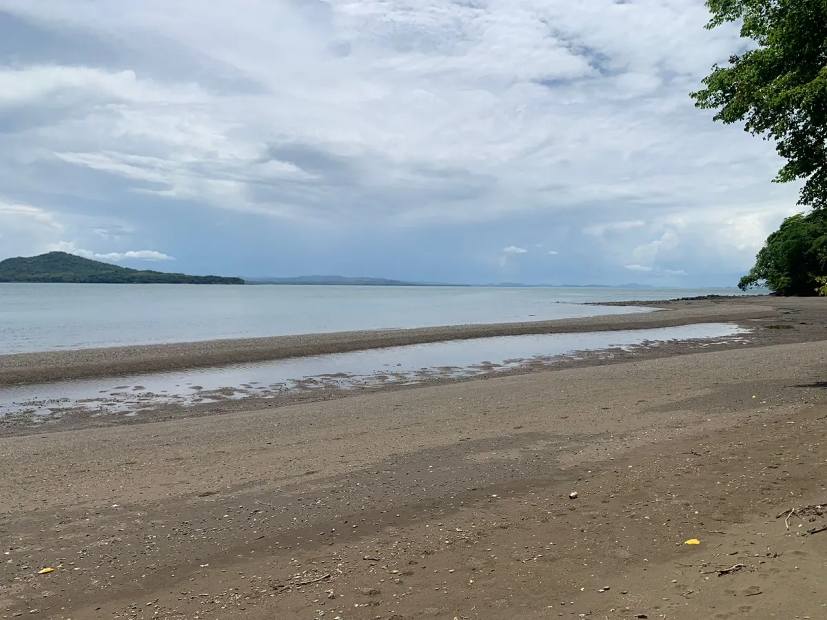 UNA HECTAREA DE PROPIEDAD EN VENTA, EN LA ISLA DE CEBACO, FRENTE AL MA...