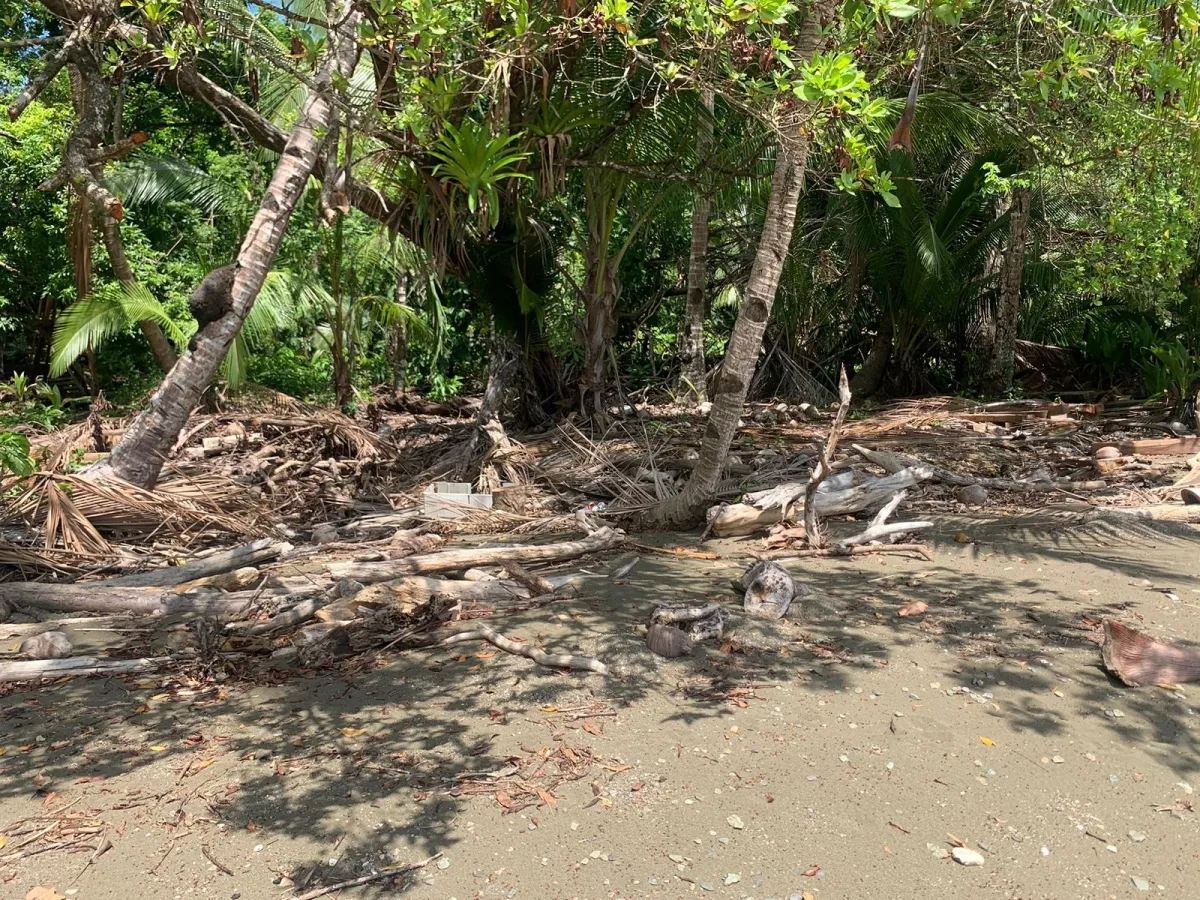 UNA HECTAREA DE PROPIEDAD EN VENTA, EN LA ISLA DE CEBACO, FRENTE AL MAR.