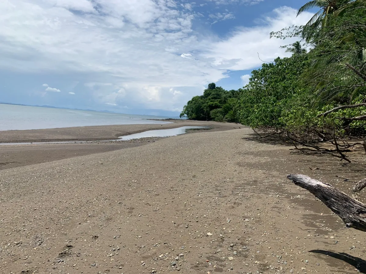 UNA HECTAREA DE PROPIEDAD EN VENTA, EN LA ISLA DE CEBACO, FRENTE AL MAR.