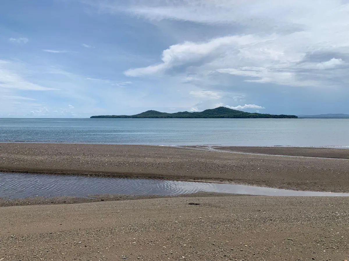 UNA HECTAREA DE PROPIEDAD EN VENTA, EN LA ISLA DE CEBACO, FRENTE AL MAR.