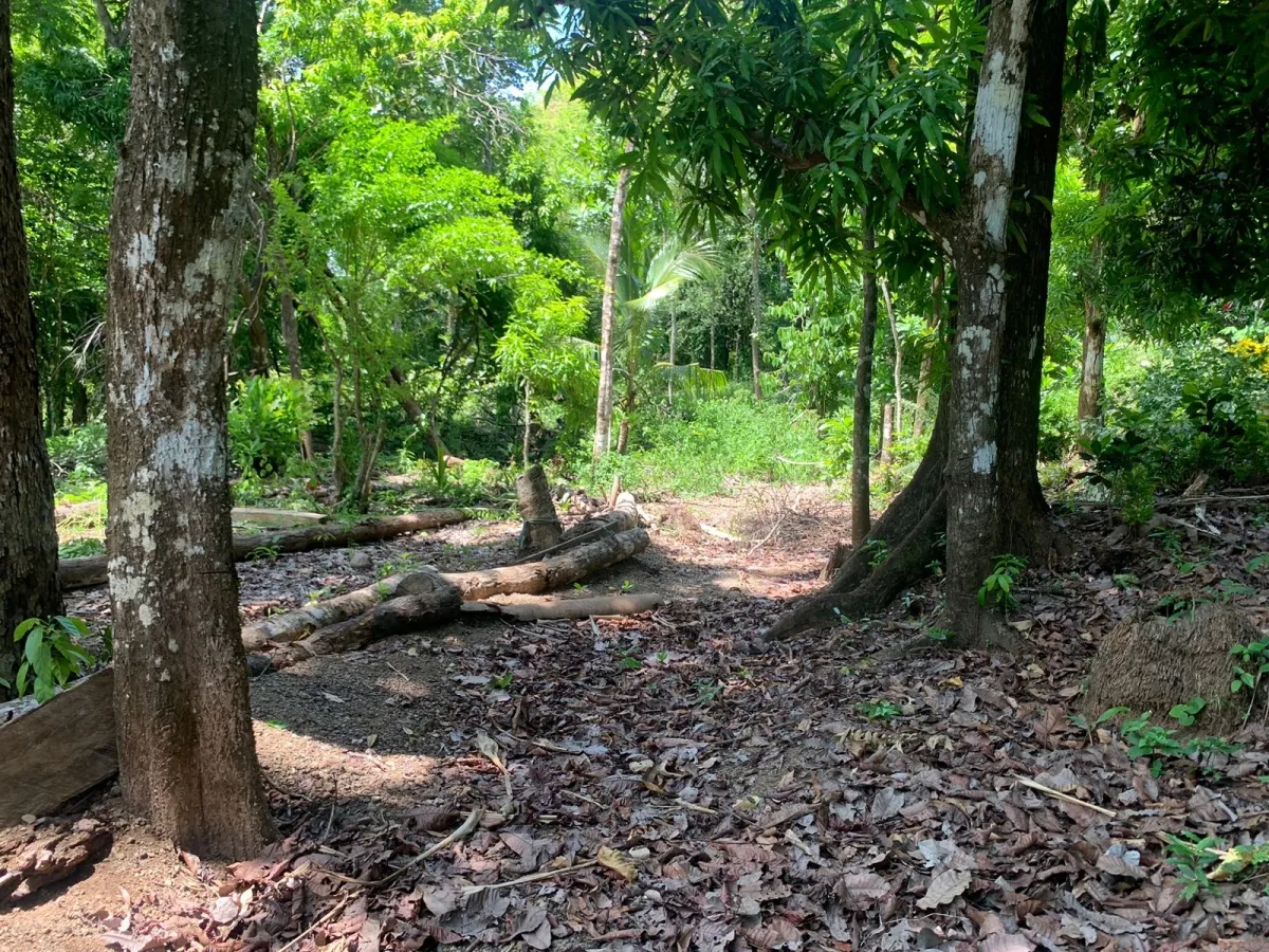 UNA HECTAREA DE PROPIEDAD EN VENTA, EN LA ISLA DE CEBACO, FRENTE AL MAR.