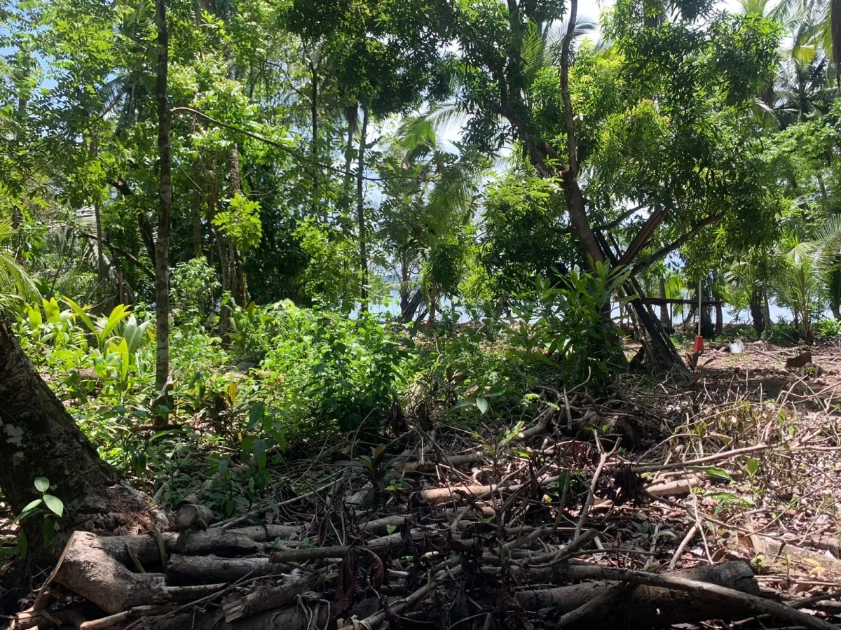 UNA HECTAREA DE PROPIEDAD EN VENTA, EN LA ISLA DE CEBACO, FRENTE AL MAR.
