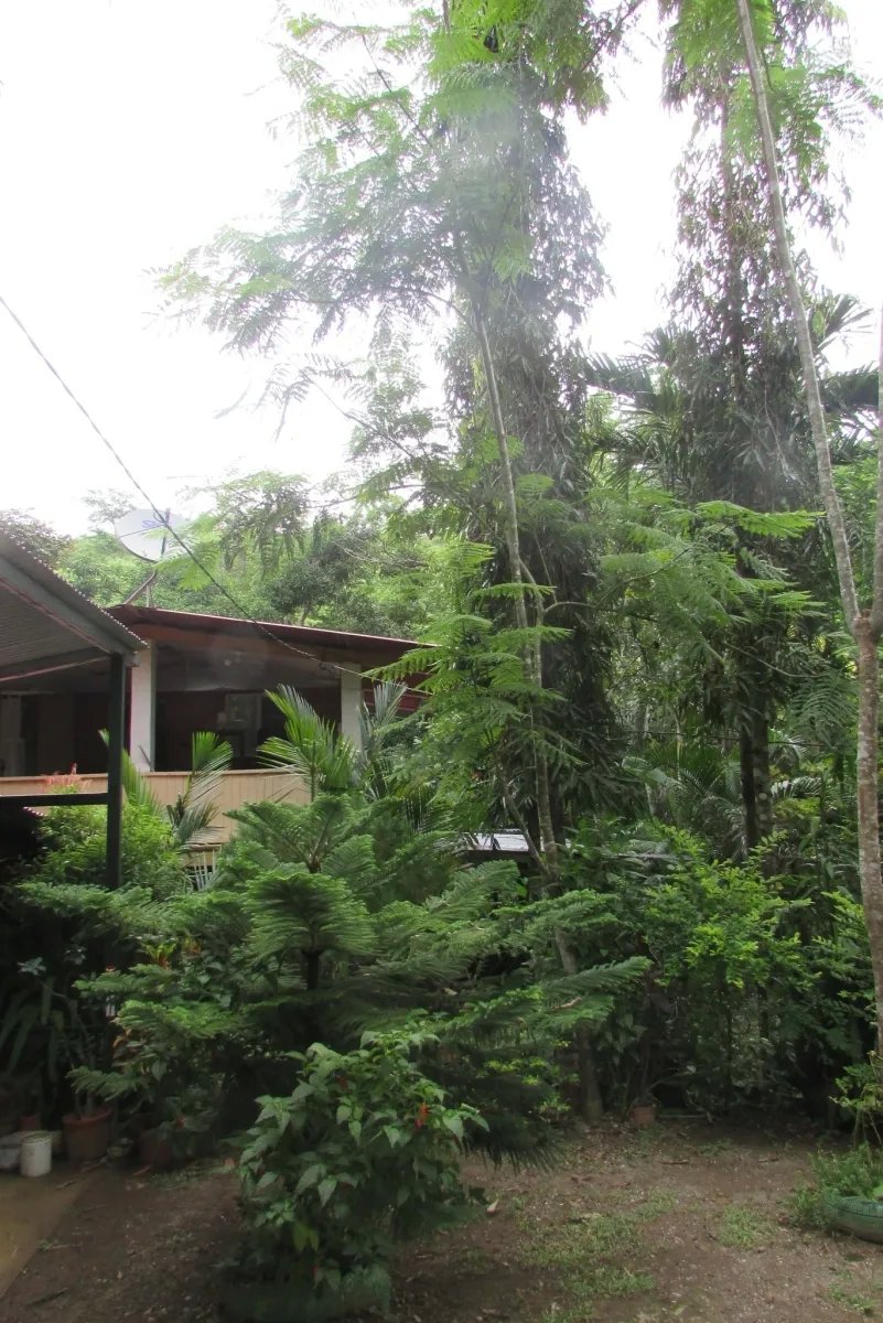 THE ZUMBON WATERFALL