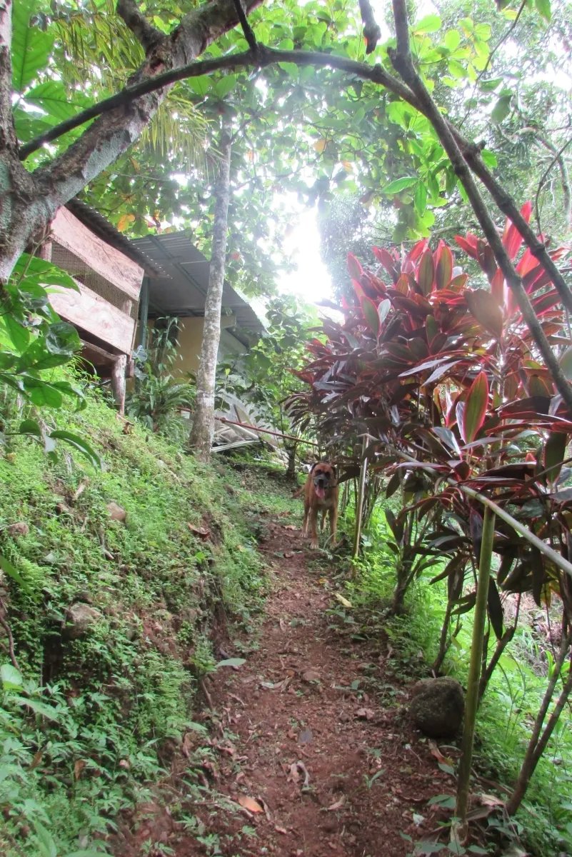 THE ZUMBON WATERFALL