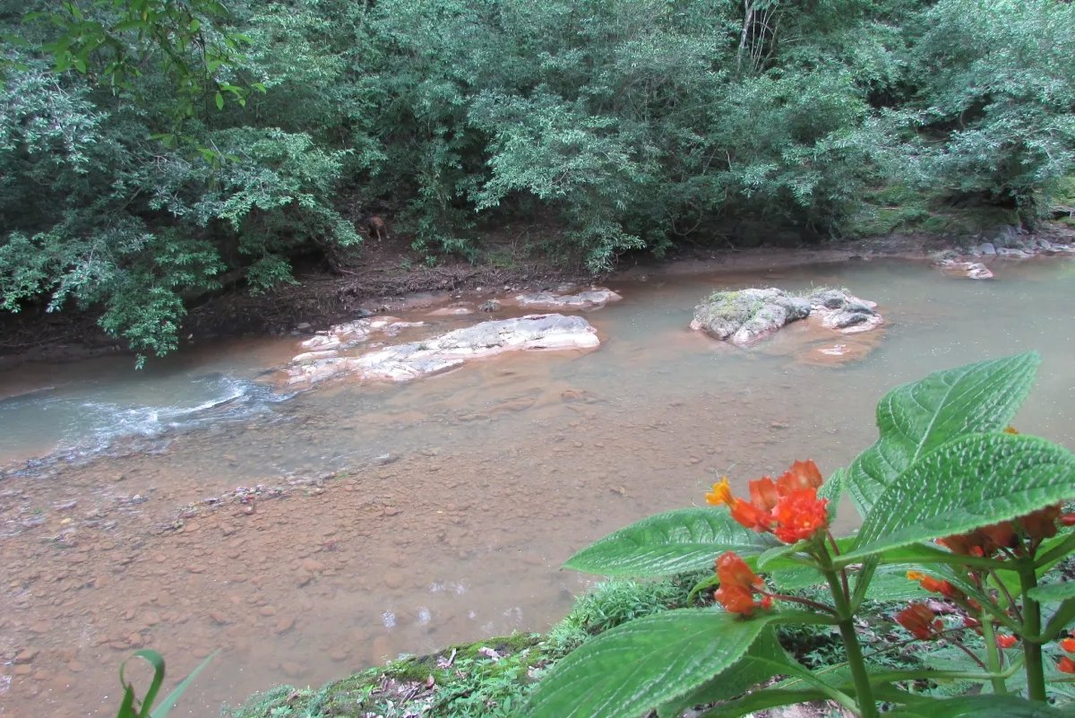 THE ZUMBON WATERFALL