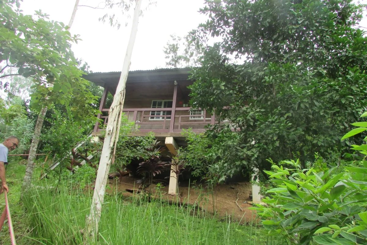 THE ZUMBON WATERFALL