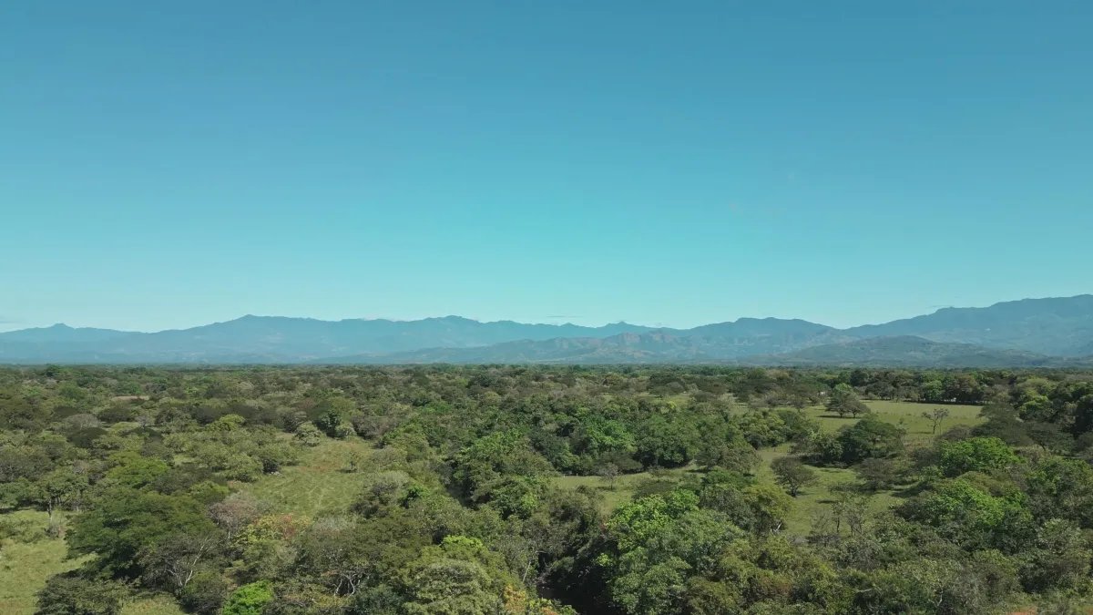 Terreno/Granja en Venta en Boquete