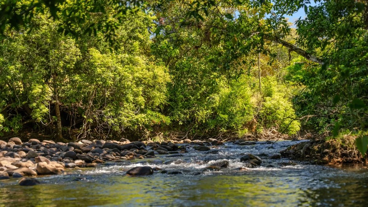 Dreamy, large river lots with club house and swimming pool near Boquete and David - financing available!