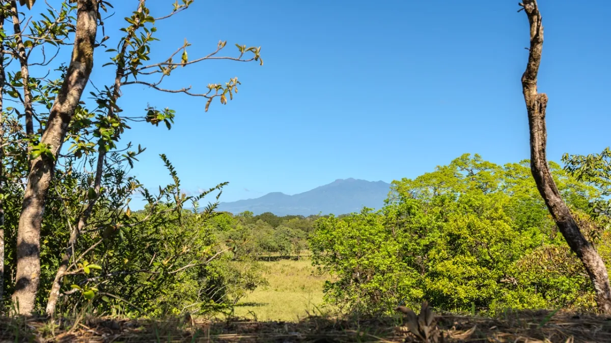 Terreno/Granja en Venta en Boquete