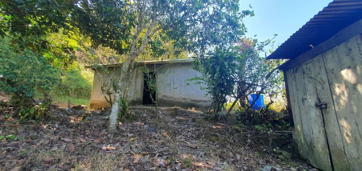 Enjoy the best of a tropical landscape, a property with its own fresh water source!