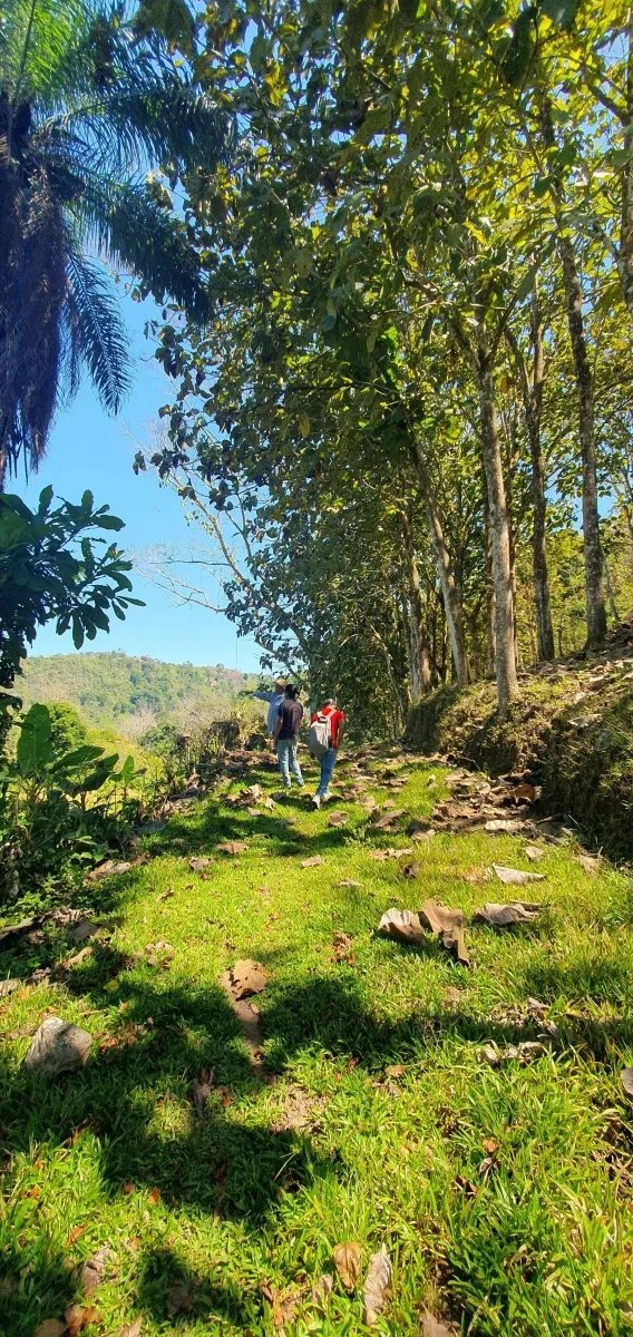 Enjoy the best of a tropical landscape, a property with its own fresh water source!